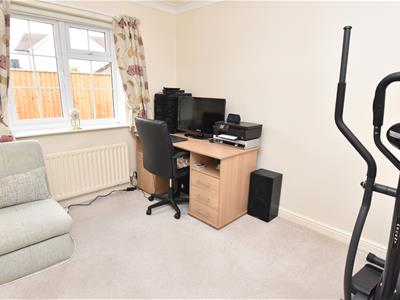 Picture 15